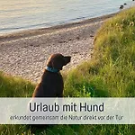 Meerestraum Ruegen - Erste Reihe, Panorama-meerblick & Kamin, Hund Willkommen, Ruhige Lage, 150 M Zur Ostsee