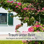 Meerestraum Ruegen - Erste Reihe, Panorama-meerblick & Kamin, Hund Willkommen, Ruhige Lage, 150 M Zur Ostsee
