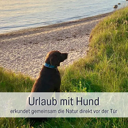 Meerestraum Ruegen - Erste Reihe, Panorama-meerblick & Kamin, Hund Willkommen, Ruhige Lage, 150 M Zur Ostsee