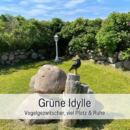 Meerestraum Ruegen - Erste Reihe, Panorama-meerblick & Kamin, Hund Willkommen, Ruhige Lage, 150 M Zur Ostsee Feriehus Dranske