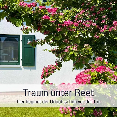 Meerestraum Ruegen - Erste Reihe, Panorama-meerblick & Kamin, Hund Willkommen, Ruhige Lage, 150 M Zur Ostsee