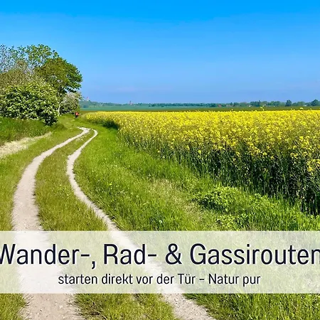 Meerestraum Ruegen - Erste Reihe, Panorama-meerblick & Kamin, Hund Willkommen, Ruhige Lage, 150 M Zur Ostsee